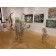 Caribou, de l'artiste Mathieu Isabelle, Sculpture, acier inoxydable, dimension : 132 x 60 x 84 pouces, vue 5, mise en contexte