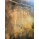 Carpe Diem II, de l'artiste Isabel Picard, Techniques mixtes sur bois, Création unique, dimension : 48 x 48 po de largeur, vue 2