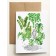 Carte de souhaits 5x4 po, -- Chat et sa jungle --, de l'artiste Katrinn Pelletier, dimension : 5.5 x 4.25 pouces largeur, sans texte, avec enveloppe  Vous pouvez inscrire votre message à l'intérieur.  Carte vendue à l'unité, vue 2