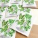 Carte de souhaits 5x4 po, -- Chat et sa jungle --, de l'artiste Katrinn Pelletier, dimension : 5.5 x 4.25 pouces largeur, sans texte, avec enveloppe  Vous pouvez inscrire votre message à l'intérieur.  Carte vendue à l'unité, vue 3