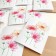 Carte de souhaits 5x4 po, -- Fleurs de cosmos --, de l'artiste Katrinn Pelletier, dimension : 5.5 x 4.25 pouces largeur, sans texte, avec enveloppe  Vous pouvez inscrire votre message à l'intérieur.  Carte vendue à l'unité, vue 3
