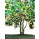 Carte de souhaits 5x5 po, L'arbre de vie, de l'artiste Nancy Létourneau, dimension : 5.25 x 5.25 pouces largeur, sans texte, avec enveloppe  Vous pouvez inscrire votre message à l'intérieur.  Carte vendue à l'unité