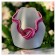 Collier MÉLI MÉLO, no 190, de l'artiste Sandrine Giraud, couleur, rose et rouge. Ce bijou modulable, toujours original, marie avec élégance la grâce et l’originalité des lignes. contexte
