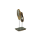 Congénitalité, de l'artiste Christianne Hamel, Sculpture, matière : Merisier - Métal - Coquilles d'oeuf, Technique : Taille directe, Création unique, dimension : 20 x 46 x 15 cm