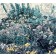 Jardins sauvages LXXXVI, de l'artiste Elyse Turbide, Acrylique sur toile, Dimension : 36 x 40 pouces de largeur