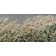 Jardins sauvages LXXXVIX, de l'artiste Elyse Turbide, Acrylique sur toile, Dimension : 18 x 36 pouces de largeur