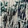 Jardins sauvages XCIII, de l'artiste Elyse Turbide, Acrylique sur toile, Dimension : 36 x 36 pouces de largeur