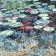 Jardins sauvages XXXIII, de l'artiste Elyse Turbide, Acrylique sur toile, Dimension : 30 x 30 pouces de largeur