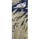 Le corbeau blanc, de l'artiste Elyse Turbide, Acrylique sur toile, Dimension : Dimension : 48 x 20 pouces de largeur