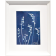 Les clochettes (Série Muguet) (t.encadré), de l'artiste Sophie Rozenn Boucher, Medium Cyanotype et aquarelle sur papier de coton, Cadre blanc, moulure et passe-partout, Création unique, Format de l'oeuvre : 7 x 5 pouces de largeur, vue encadrée