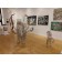Les VII, cheval no 6, de l'artiste Mathieu Isabelle, Sculpture, acier inoxydable, dimension : 42 pouces de hauteur, vue 2, mise en contexte