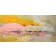 Paysage clair, de l'artiste Benoit Genest Rouillier, Tableau, Acrylique sur toile, Création unique, dimension : 24 x 48 po de largeur