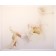 La pirouette, de l'artiste Marie-Pierre Lortie, Oeuvre sur soie, encre, double voile sur cadre, Création unique,dimension 30 x 36 pouces de largeur, vue B