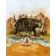 Qui a vu l'ours ?, de l'artiste Félix Girard, sur papier Epson « Enhanced Matte, impression avec de l’encre à pigment – qualité archive (ultra chrome), dimension : 18 x 14 pouces de largeur, affiche prête à être encadrée