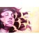 Rejoindre l'aube II, de l'artiste Julie Freedom, Tableau, Technique mixte sur panneau de merisier, Création unique, dimension : 24 x 36 po de largeur
