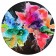 S'apprivoiser, de l'artiste Nancy Létourneau, Oeuvre sur bois plaqué merisier russe, médium encre à l'alcool et acrylique, Création unique, dimension 40 pouces de diamètre